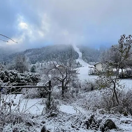 Haus Jochblick Mit Sonniger, Grosser Terrasse Apartment Niederau
